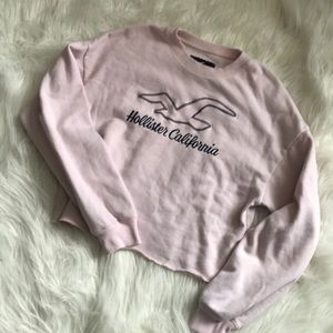 Hollister crop